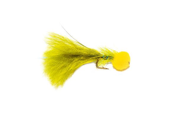 Hatching Yellow Hot Head Blue Flash Damsel