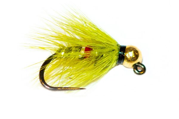 Gold Tungsten Head Jig Olive Bibio Spider