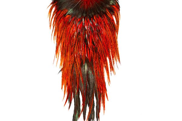 Brilliant Red Badger Saddle Cape