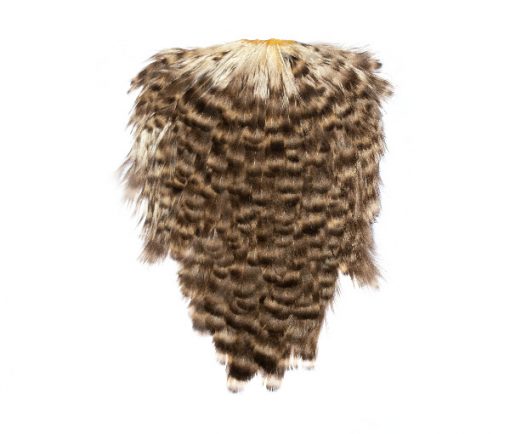 Coffee and Cream Hen Cape