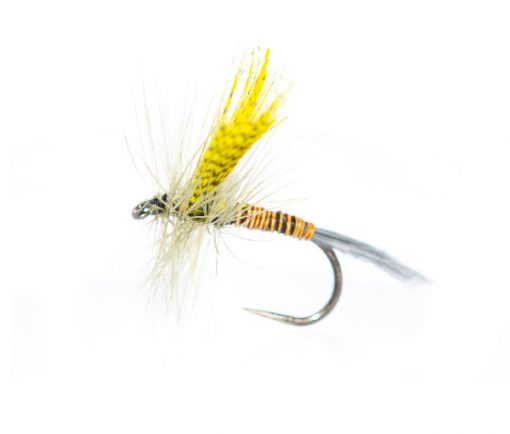 Fishing Flies