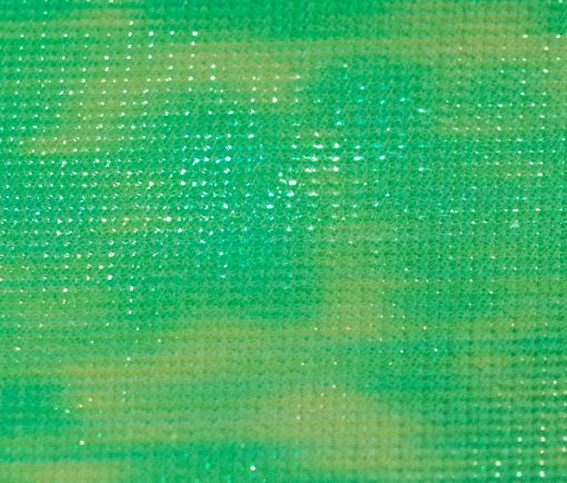 Fish Fishing Flies Fly Tying