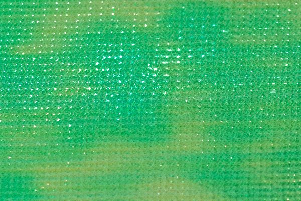 Fish Fishing Flies Fly Tying