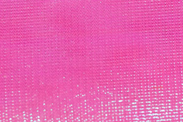 Iridescent Shrimp Back Magic Magenta Fish Fishing Fly