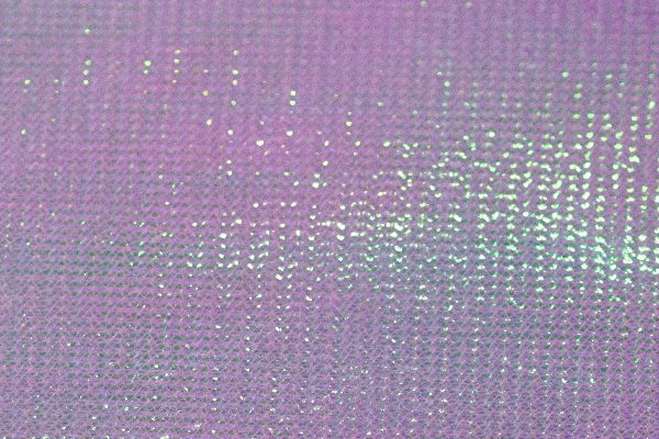 Iridescent Shrimp Back Purple Fishing Fly Manufacturing