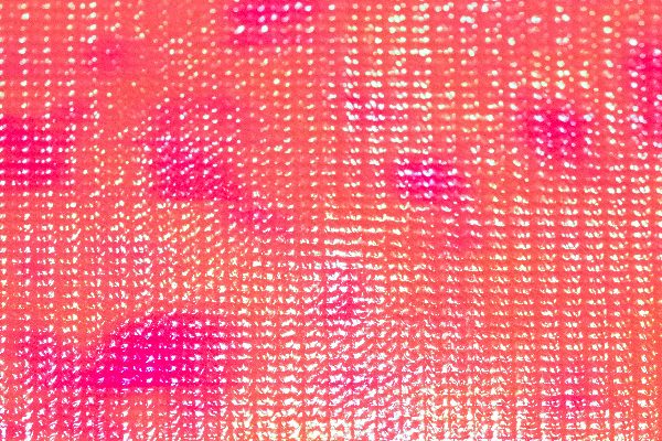 Iridescent Shrimp Back Salmon Red Fly Tying Flies