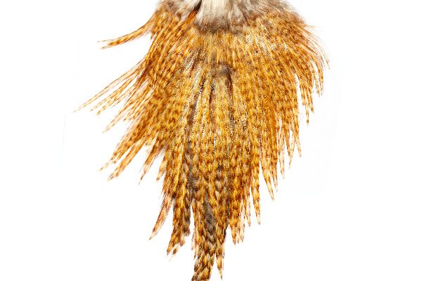 Fly Tying Feathers