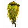 Cheap Feather Capes Fly Tying