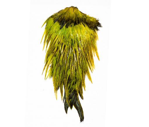 Cheap Feather Capes Fly Tying