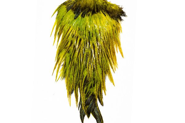 Cheap Feather Capes Fly Tying