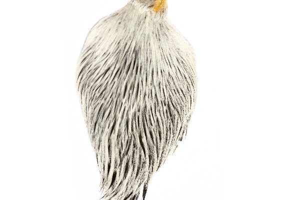 Silver Badger Cock Cape