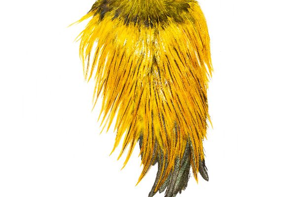 Yellow Badger Saddle Cock Cape Fly Tying Feather