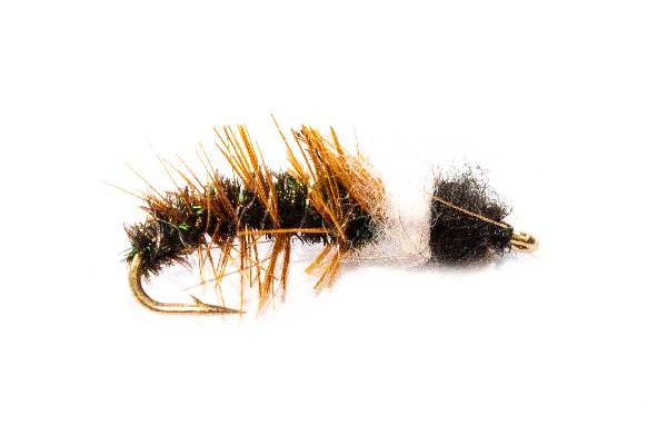 Fishing Flies Cased Caddis Enforcer