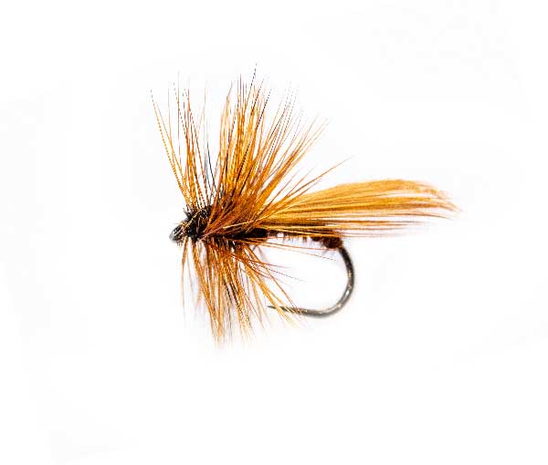 Caddis Brown Fluttering Dry Fly Fishing Flies fishing flies online ...