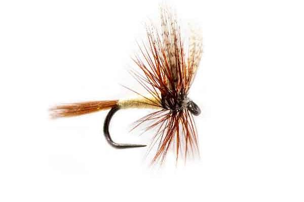 Fishing Fly Gray Fox Dry Fly