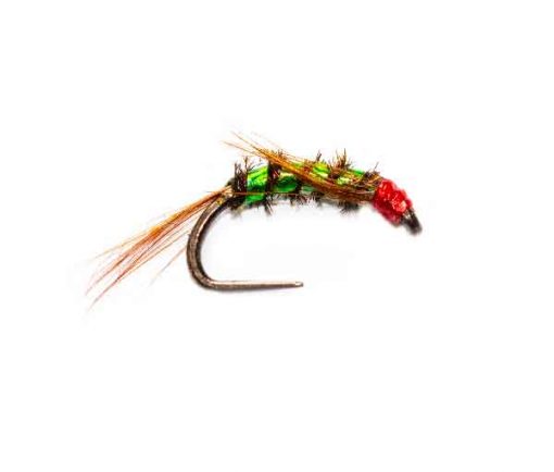 Green Unforgiving Ultra Halo Diawl Bach