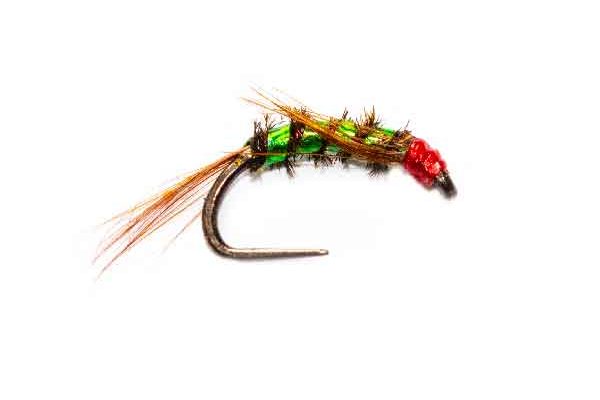 Green Unforgiving Ultra Halo Diawl Bach
