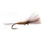 Trout Fishing Fly Rutland England