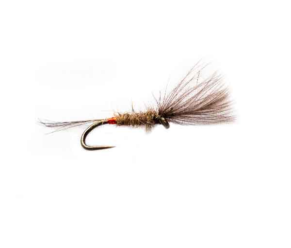 Holograph Grey CDC Emerger fishing flies online trout flies fishery