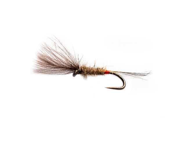 Holograph Grey CDC Emerger fishing flies online trout flies fishery