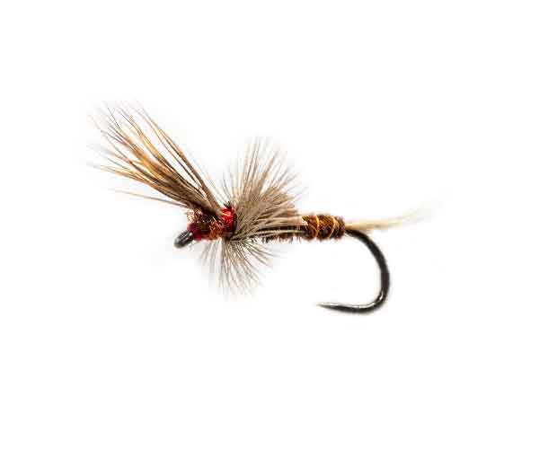 March Brown Cripple fishing flies online trout flies fishery