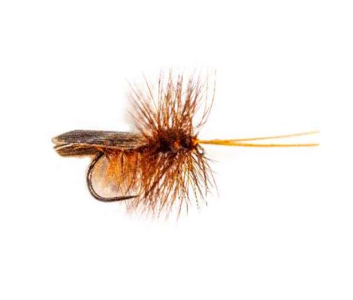 Sedge Type Dry Flies