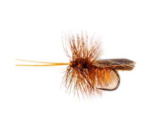 Dark Brown Seville Back Sedge - Image 3