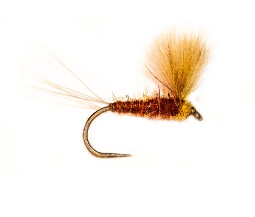 CDC Winged Mahogany Emerger