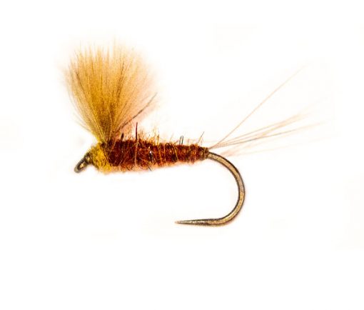CDC Winged Mahogany Emerger - Image 2