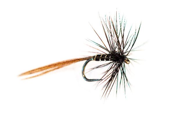 Lancaster Black Ribbed Spinner Mayfly
