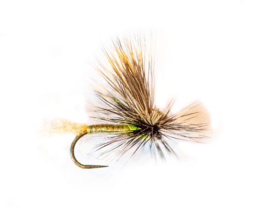 Lancasters Caddis Tan