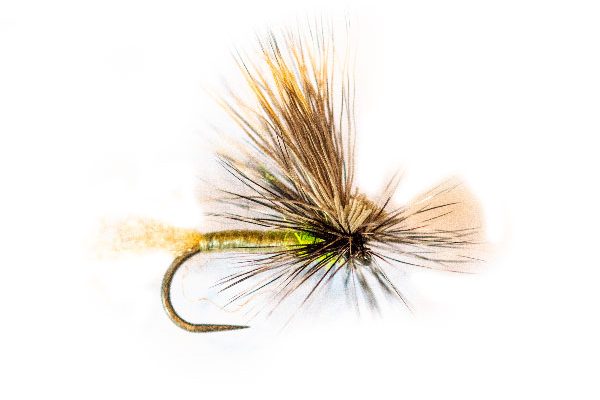 Lancasters Caddis Tan