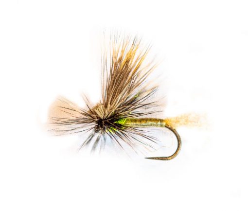 Lancasters Caddis Tan - Image 2