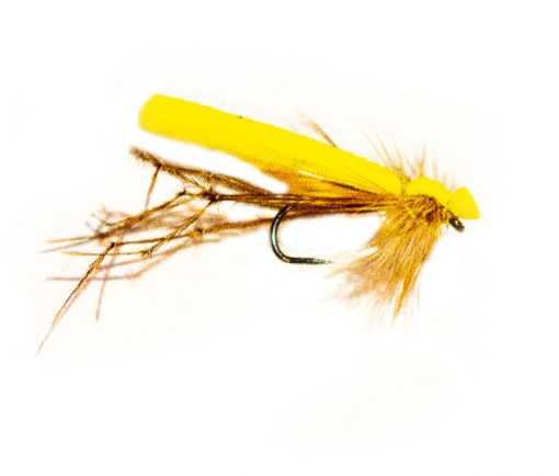 Adult Yellow Foam Crane Fly