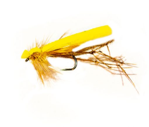 Adult Yellow Foam Crane Fly - Image 3
