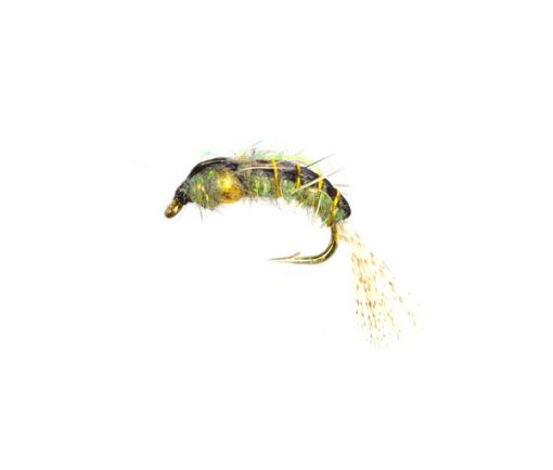 Chimaera Callibaetis Goldhead Nymph