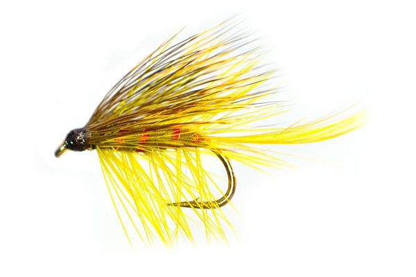 Golden Olive Deer Tail Bumble Special Wet Fly