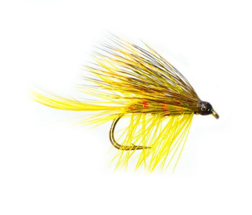 Golden Olive Deer Tail Bumble Special Wet Fly