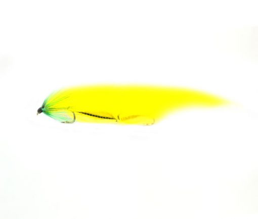 Bright Yellow Green Thorax Snake