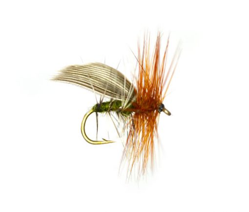 Henryville Pro Water Dry Sedge