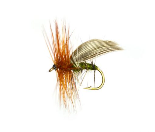 Henryville Pro Water Dry Sedge
