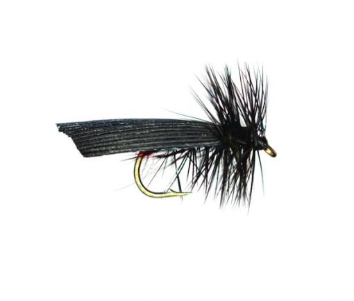 Small Black Sedge Trout Fishing Fly