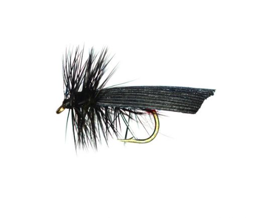 Small Black Sedge Trout Fishing Fly