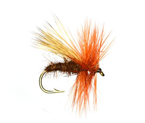 Small Brown Sedge Trout Fishing Flies