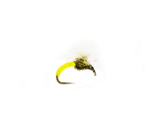 Sunshine Badger Blink Klink