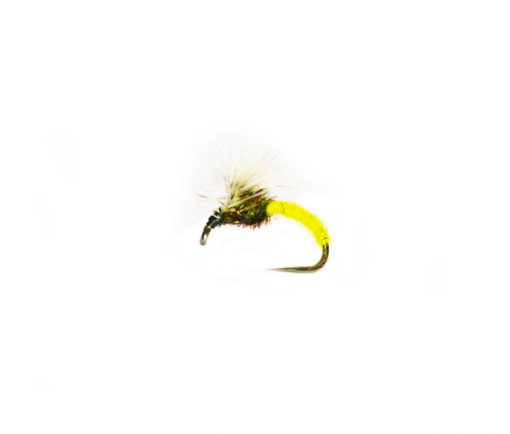 Sunshine Badger Blink Klink