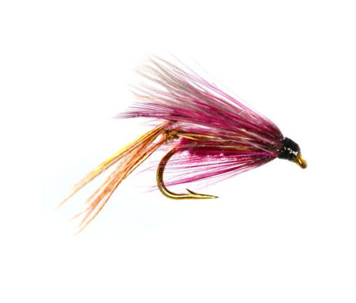 Claret CDC Daddy Hopper Loch Style