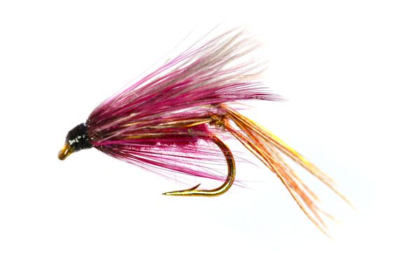 Claret CDC Daddy Hopper Loch Style