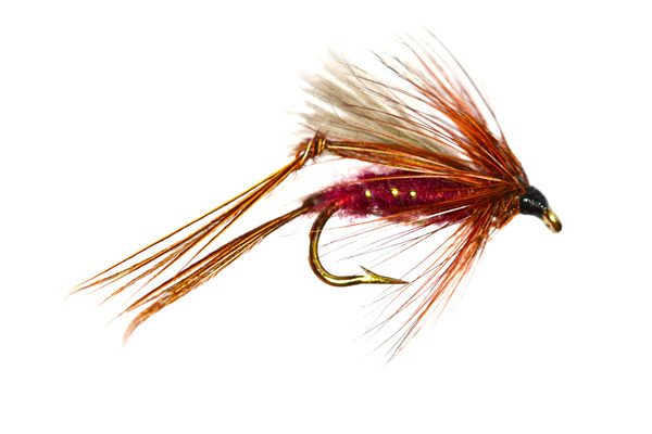 thumbnail image 2 of World Class Flies - 6x Popper Hopper Trout Flies, Claret, Fly Fishing 2 of 4