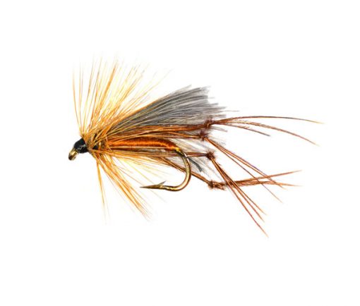 CDC Fiery Brown Leggy Hopper